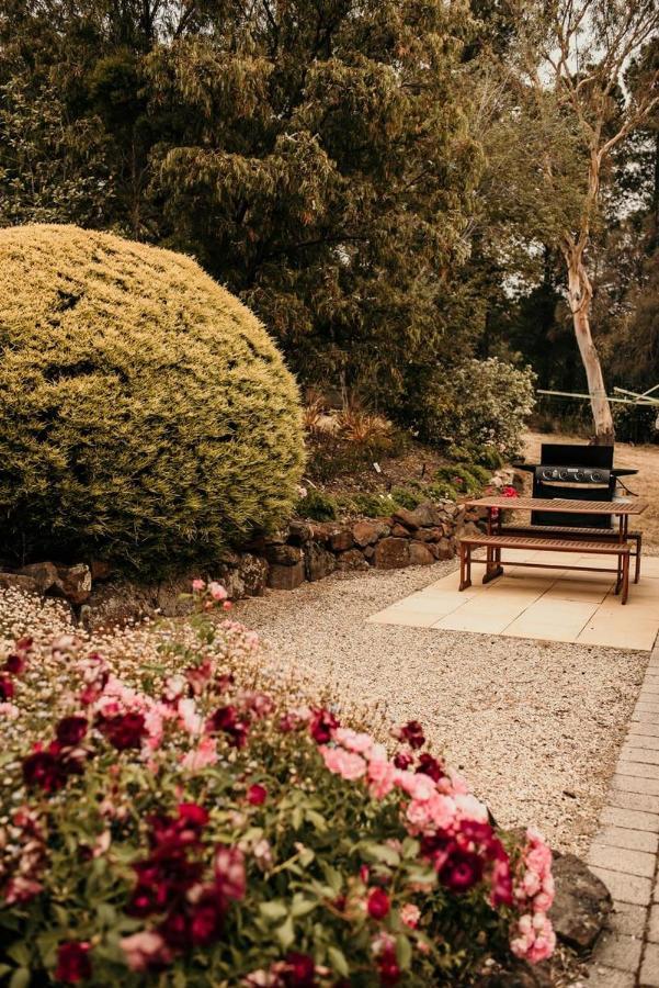 Otago Cottage ホバート エクステリア 写真